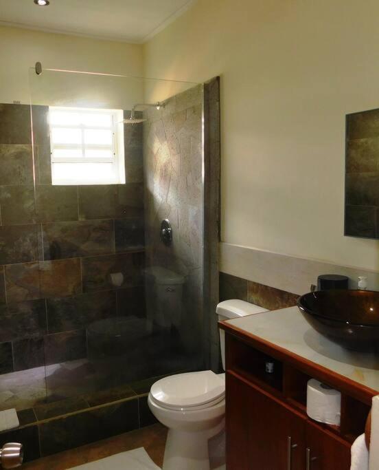 Tropical Home Oasis Soufrière Екстериор снимка